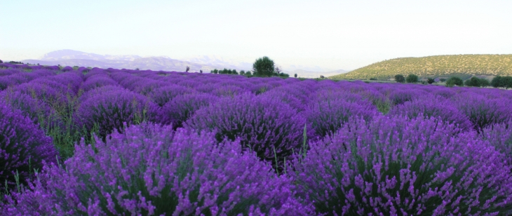 PAMUKKALE- SALDA - LAVANTA - EĞİRDİR